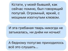 Фотоприколы и&nbsp;прикольные картинки