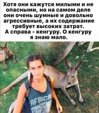 Фотоприколы и&nbsp;прикольные картинки