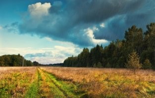 Начало радуги сам ловил в объектив. Еще однажды поймал край дождя... А Черный (красный) апельсин на той неделе ел. У меня в ларьке у дома такими торгуют. Не особо вкусный он, с горчинкой.