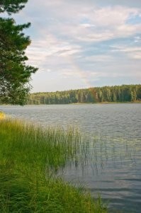 Начало радуги сам ловил в объектив. Еще однажды поймал край дождя... А Черный (красный) апельсин на той неделе ел. У меня в ларьке у дома такими торгуют. Не особо вкусный он, с горчинкой.