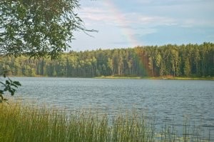Начало радуги сам ловил в объектив. Еще однажды поймал край дождя... А Черный (красный) апельсин на той неделе ел. У меня в ларьке у дома такими торгуют. Не особо вкусный он, с горчинкой.