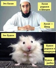 Фотоприколы и&nbsp;прикольные картинки