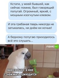 Жиза!
