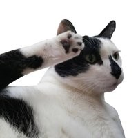 7 фотографий НЛО, сделанных до появления фотошопа