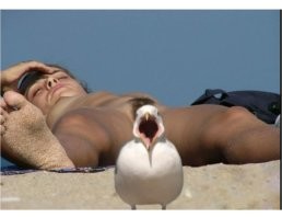 Она же строгая. 
Блюдёт, так сказать, нравственность.