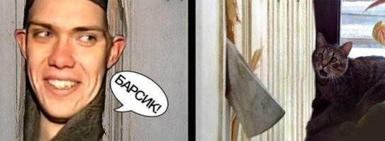 Спасение кота с неожиданным финалом