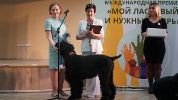 "22 апреля Зеленоградске состоялась торжественная церемония награждения лауреатов первой и на данный момент единственной в мире Международной премии Мой ласковый и нужный зверь." "Третье место по решению жюри присуждено сразу двум номинантам – это чёрный терьер Челси из Калининграда, ставшая донором и спасшая десятки жизней своих собратьев. А также кот Пузик из Саратова, который в марте прошлого года помог своему хозяину вовремя выбраться из горящей квартиры. Маленький кот чуть сам не погиб, его нашли в задымлённой квартире и вынесли на улицу пожарные, после чего привели в чувство при помощи кислорода. Дежурный караул 6-й пожарно-спасательной части ГУ МЧС по Саратовской области (начальник караула Дмитрий Маяков) удостоен почётного диплома премии. Отметим, что в Зеленоградск Пузик приехал получить награду лично вместе с юной хозяйкой Олесей. Для девушки и кота это был первый в жизни перелёт на самолёте, который героический кот перенёс достойно" " Дипломантами премии среди животных стали ещё два кота – Мурзик из города Шахты Ростовской области, спавший свою семью от змеи. И кот Мостик – талисман Крымского моста, который помог отыскать хозяев потерявшейся на Кубани собаке." Но кроме котов было много номинатнов и победителей. Обладателем звания «Народный герой» среди братьев наших меньших стал пёс Сармат из Сыктывкара (посмертно) – в ходе интернет-голосования он получил поддержку в 211 377 голосов. Пёс погиб в сентябре 2022 года в зоне проведения специальной военной операции. Он стал настоящей легендой в Республике Коми, где ему планируется установить памятник. На фото его хозяин мужчина в форме в центре.
 Второе место бордер-колли Торин из Башкирии. Спастель. Помогал после землетрясения в Турции

 По материалам газеты "Волна".
