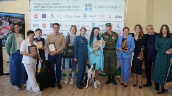 "22 апреля Зеленоградске состоялась торжественная церемония награждения лауреатов первой и на данный момент единственной в мире Международной премии Мой ласковый и нужный зверь." "Третье место по решению жюри присуждено сразу двум номинантам – это чёрный терьер Челси из Калининграда, ставшая донором и спасшая десятки жизней своих собратьев. А также кот Пузик из Саратова, который в марте прошлого года помог своему хозяину вовремя выбраться из горящей квартиры. Маленький кот чуть сам не погиб, его нашли в задымлённой квартире и вынесли на улицу пожарные, после чего привели в чувство при помощи кислорода. Дежурный караул 6-й пожарно-спасательной части ГУ МЧС по Саратовской области (начальник караула Дмитрий Маяков) удостоен почётного диплома премии. Отметим, что в Зеленоградск Пузик приехал получить награду лично вместе с юной хозяйкой Олесей. Для девушки и кота это был первый в жизни перелёт на самолёте, который героический кот перенёс достойно" " Дипломантами премии среди животных стали ещё два кота – Мурзик из города Шахты Ростовской области, спавший свою семью от змеи. И кот Мостик – талисман Крымского моста, который помог отыскать хозяев потерявшейся на Кубани собаке." Но кроме котов было много номинатнов и победителей. Обладателем звания «Народный герой» среди братьев наших меньших стал пёс Сармат из Сыктывкара (посмертно) – в ходе интернет-голосования он получил поддержку в 211 377 голосов. Пёс погиб в сентябре 2022 года в зоне проведения специальной военной операции. Он стал настоящей легендой в Республике Коми, где ему планируется установить памятник. На фото его хозяин мужчина в форме в центре.
 Второе место бордер-колли Торин из Башкирии. Спастель. Помогал после землетрясения в Турции

 По материалам газеты "Волна".