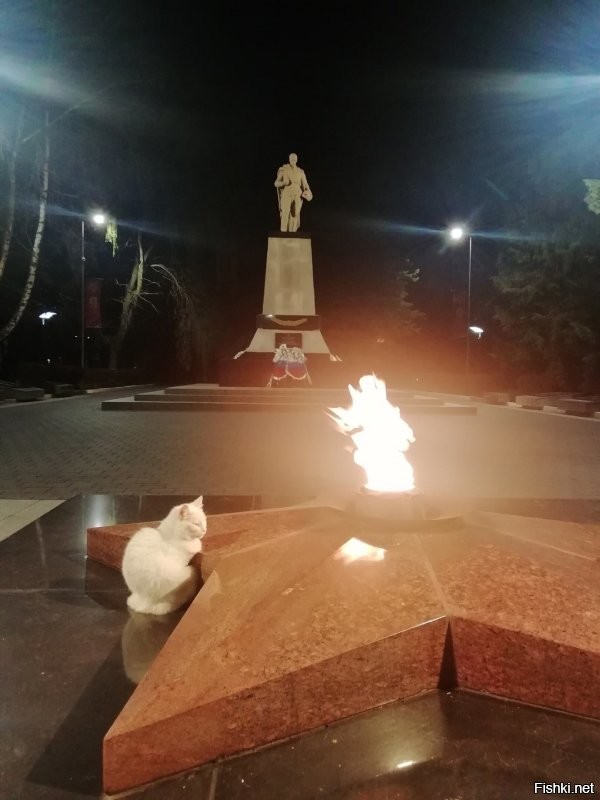 Ловят. Не все конечно. Однако крысы тоже не дуры. Если есть коты, то они предпочтут поселиться подальше от кота. Во всяком случае, я привела конкретный пример нашего города. У нас тоже очень, просто очень много едален. Туристический же город. То есть отходов более чем хватает. И вывоз мусора, особенно в туристический сезон оставляет желать лучшего.  Но! Возле каждой едальни пасется минимум пара, а то и гораздо больше кошек.  Они именно там постоянно присутствуют.  Конечно это не даёт расплодиться грызунам. Хотя коты не голодуют. Даже напротив, очень зажравшиеся. Но результат очевиден.
 Котов у нас любят, уважают и дают им свободу жить как нравится, а не только дома на подушке. 
 Вот у нас  какая открытка в нашей группе к празднику. И наши коты. Второе фото уже к приблежающемуся 9 мая.))