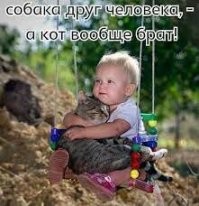 15 раз, когда кошки решили стать няньками