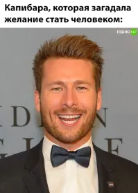 Не капибара, а квокка