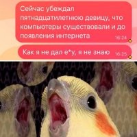 - чего не дал?