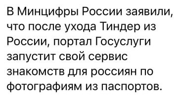 Импортозамещение: Милонов предложил создать православный аналог Tinder с регистрацией через Госуслуги