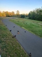 Что тут происходит?
Это законно?