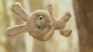 Ушастик подумал, что его друзья ошиблись - день оказался летным.