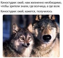 Продолжаем барражировать соцсети