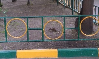 18 изображений, которые доказывают, что ракурс решает всё