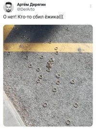 Какая связь колечек с ежиком ?