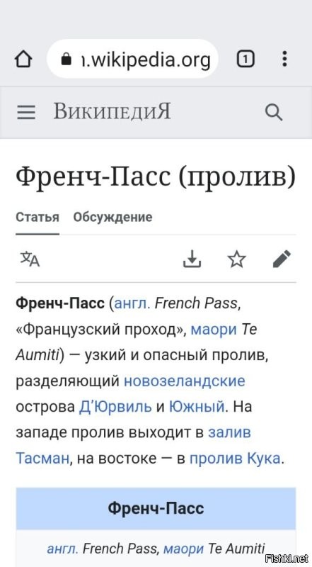 27 занимательных снимков со всего мира