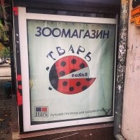Вот - лучший креатив! Всегда восхищаюсь))