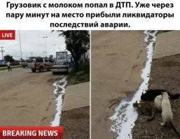 Фотоприколы и&nbsp;прикольные картинки