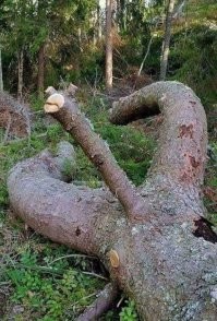 как то так девоньки ))))