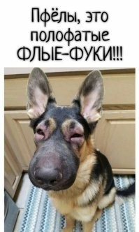 Продолжаем барражировать соцсети