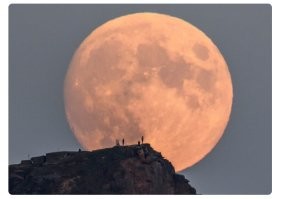 Просто объектив с хорошим увеличением. 

Это классический приём.