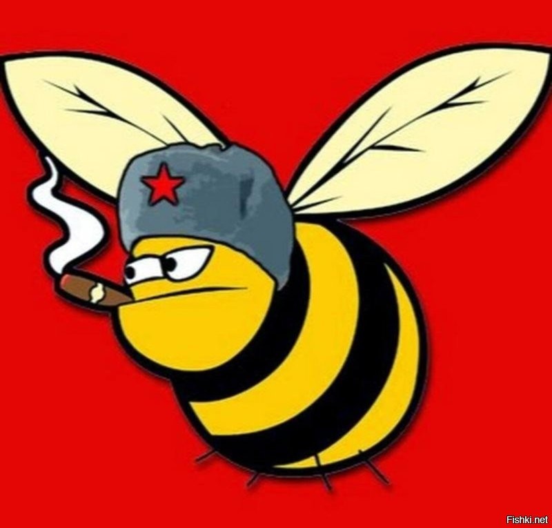 Продолжаем барражировать соцсети