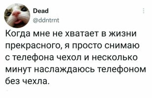 Фотоприколы и&nbsp;прикольные картинки