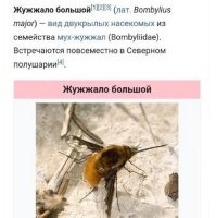 Фиг его знает, но БОМБОМЁТЧИК МАЙОР - хорошо звучит.