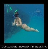 На общую тему&nbsp;