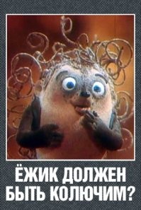 Фотоприколы и&nbsp;прикольные картинки