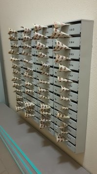 Не на 100%. 
166 ящик в игноре.