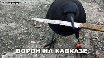 Очень эмоциональный таксист отказался везти "мокрых" пассажиров