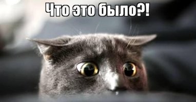 Отдых в доме на воде