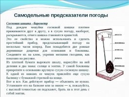 Как-как. Да вот так!