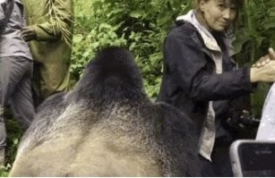 Бляха. опасные экскурсии - переломает как тростинку!