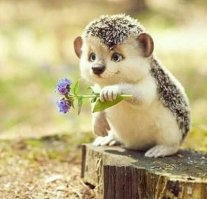 Хорошее настроение заразительно: видеофакт