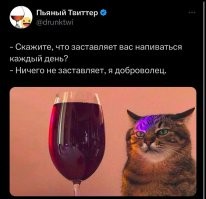 Комментарии и картинки из соцсетей. Свежак за 8 мая