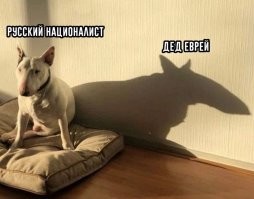 Комментарии и картинки из соцсетей. Свежак за 8 мая