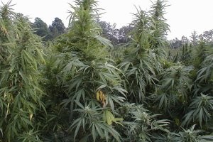 Всё зависит от.