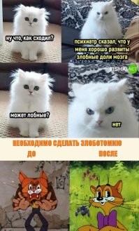 Комментарии и картинки из соцсетей. Свежак за 10 мая