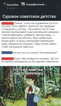 Австралийка выжила в диком лесу благодаря бутылке вина