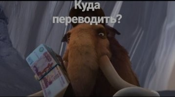 Блиновская даже после ареста сумела развести поклонников на 5,5 млн рублей