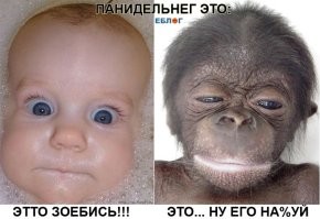 Демотиваторы: мужское общество, совещание и халява