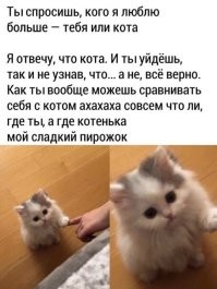 Скрины из соцсетей&nbsp;