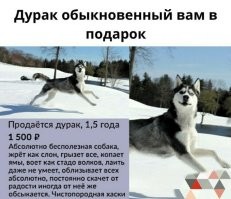 Не продали.