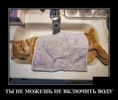 Демотиваторы: мужское общество, совещание и халява