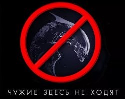 В Госдуме предложили ввести штраф за самовыгул собак